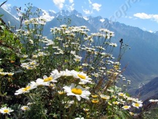 ����� ���������� ������� ���� �����������. ���� ���������� ������ ����������� �� ���������� �����