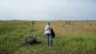 ��������� ���������� ����, ���� ������� ���� ����������� ����