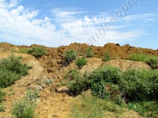 ���������� ������� ������������� ���������� ������ ����������� | ���������� ������� ������������� ���������� ������ � ����������� ��� �����.