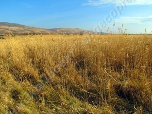 ������������� ���������� ������ �� ������� ��� �����������