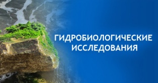 ������������������ ������������ ����������� � ������������ | 