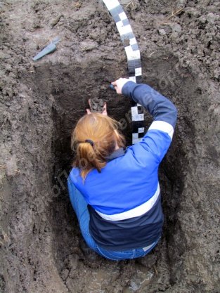 ������ �� ������������� ������ ����������� ��� ������������