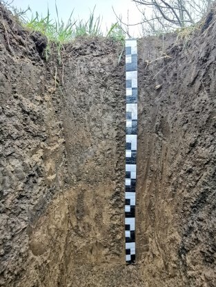 ������ ������������� ��������� ������ - ��� �����������