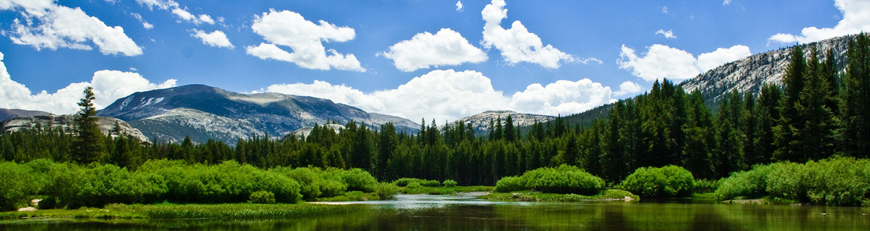 ��� ������������� :::   ��������