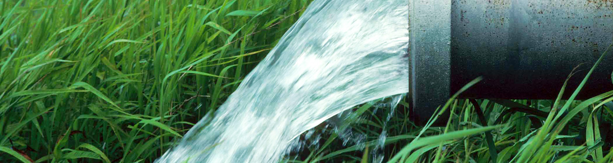 ��� ������������� :::   ������ �����������