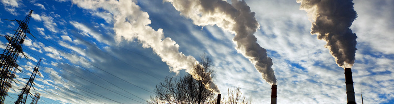 ��� ������������� :::   ������������ ������������