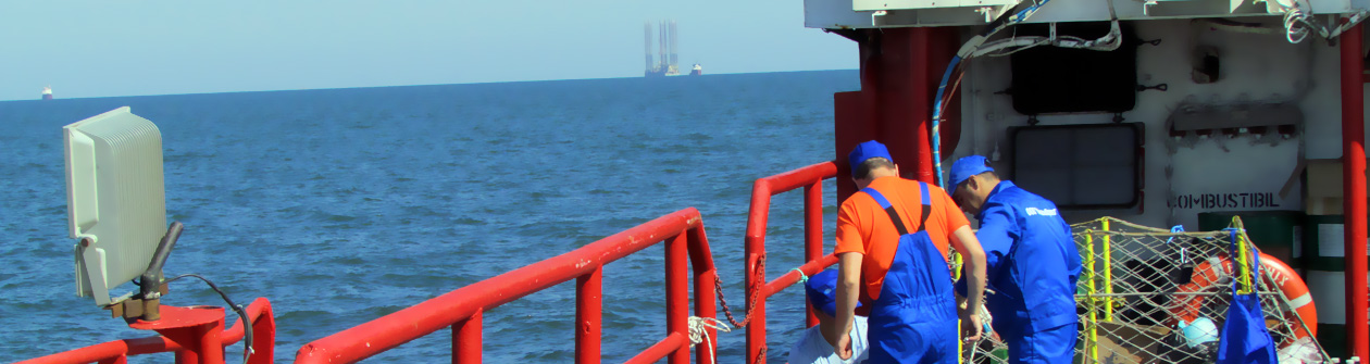 ��� ������������� :::   ������ �� ��������������� ������