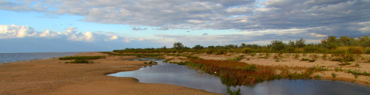 ��� ������������� :::   ��� ��������� ����