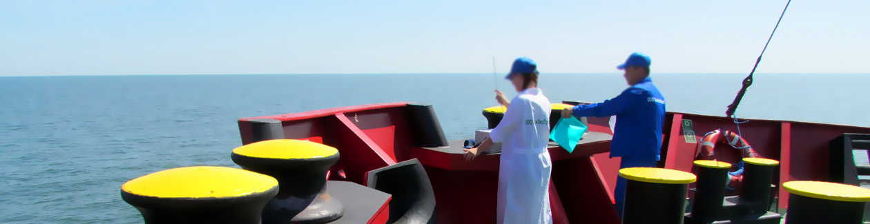 ��� ������������� :::   ��� � ��� ���.�������������