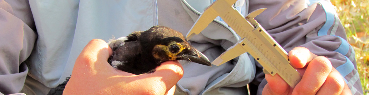 ��� ������������� :::   ���������������� ������������