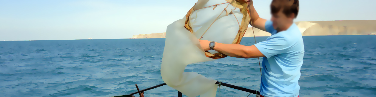 ��� ������������� :::   ��� ��������������� ����