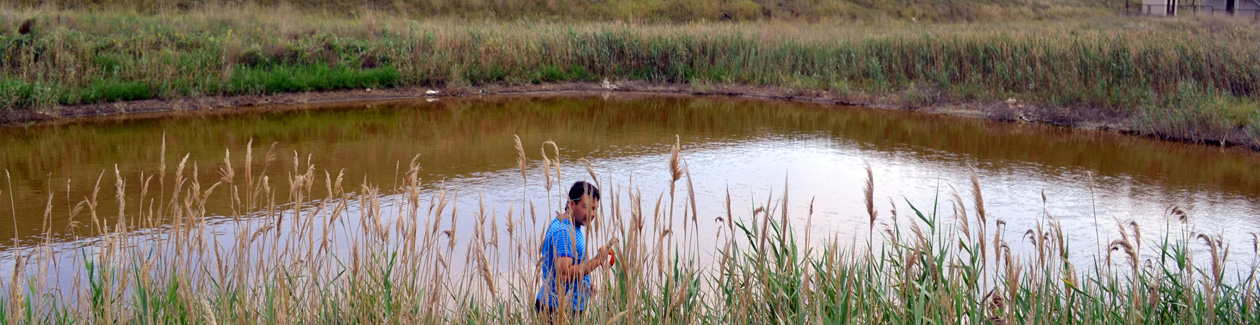 ��� ������������� :::   ��� ���������